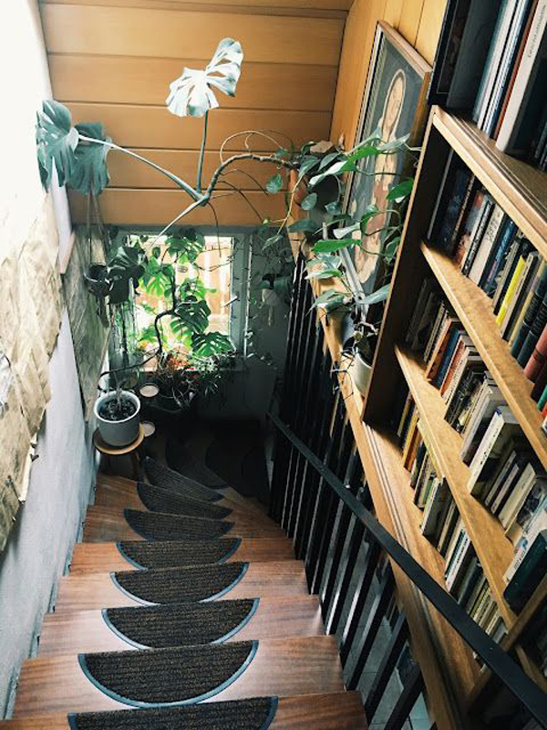 big-plants-in-natural-staircase