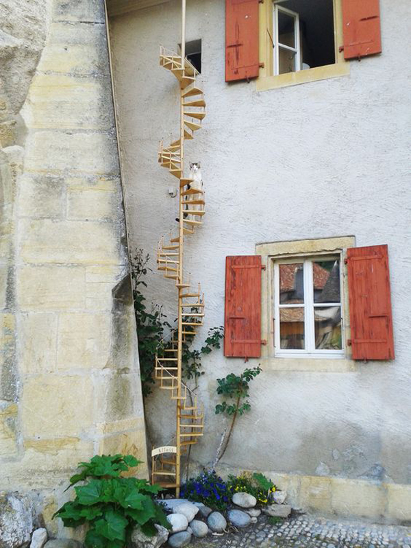classic-outdoor-cat-ladder-design