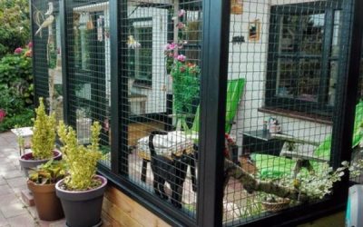 cool-black-catio-ideas