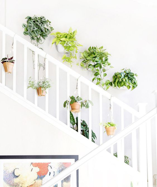 hang-staircase-plant-ideas