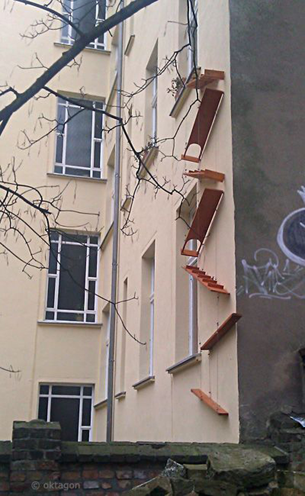 minimalist-apartment-cat-ladder-in-the-wall