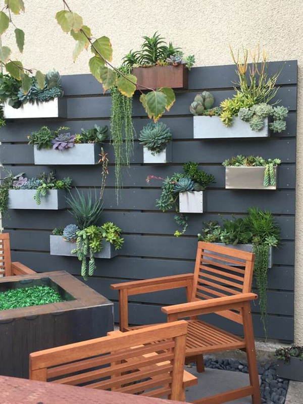 outdoor-patio-privacy-ideas-with-wall-fence-cactus-garden