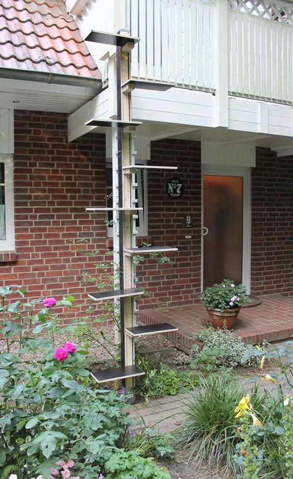 simple-diy-outdoor-cat-ladders