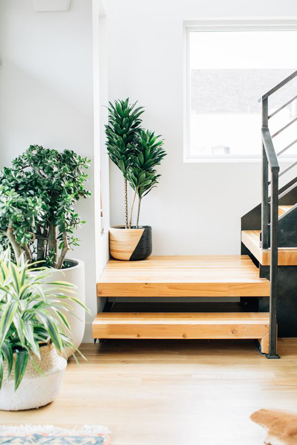 simple-plant-pots-in-first-staircase