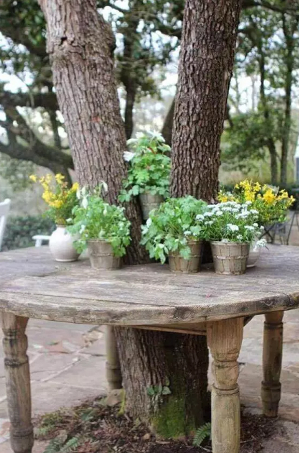 tree-table-furniture-with-potted-grenery