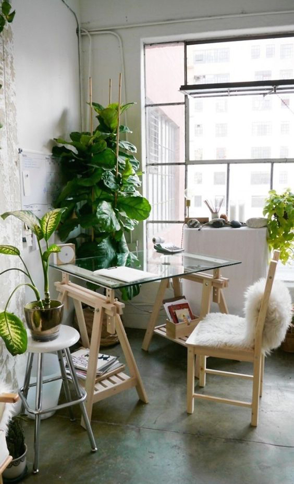 cozy-glass-office-desk-with-indoor-plants
