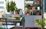 fresh-balcony-plant-organizer