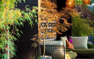 minimalist-zen-style-garden-with-outdoor-patio