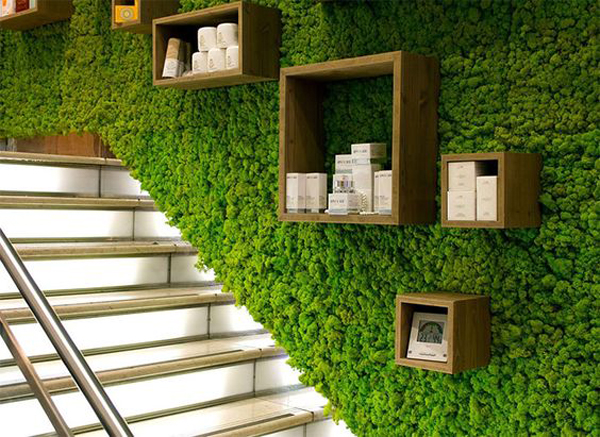 natural-grass-wall-in-the-staircase