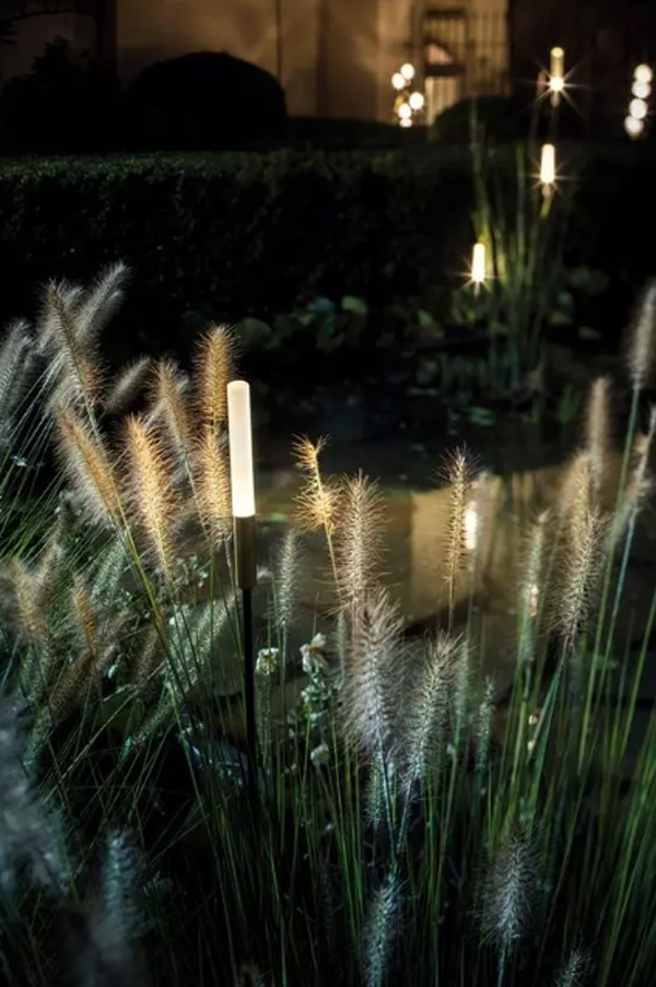 beautiful-grass-integrated-with-lights