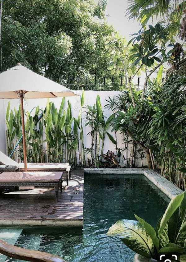 cozy-small-pool-design-with-tropical-accent