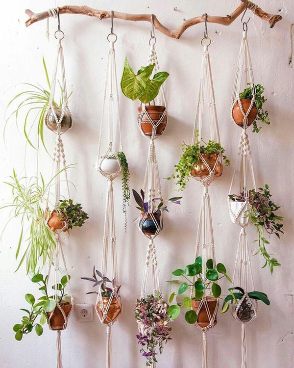 diy-macrame-hanging-plant-ideas