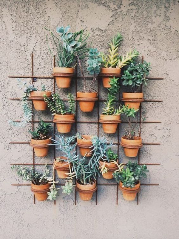 industrial-vertical-garden-with-exposed-concrete-wall