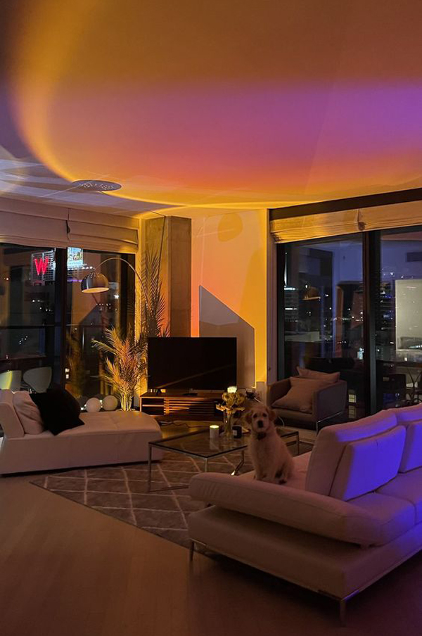 modern-living-room-design-with-aesthetic-lamps