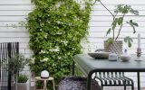 scandinavian-outdoor-dining-space-with-vines-fence