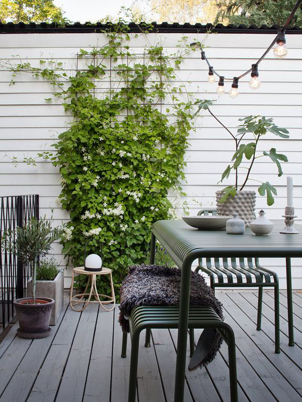 small-industrial-garden-with-string-lights