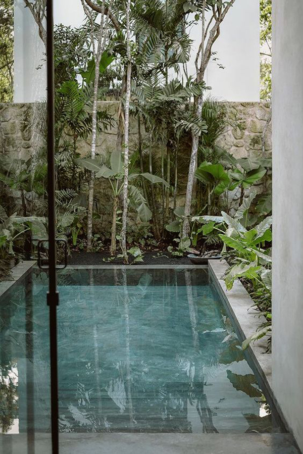 small-pool-designs-with-glass-doors