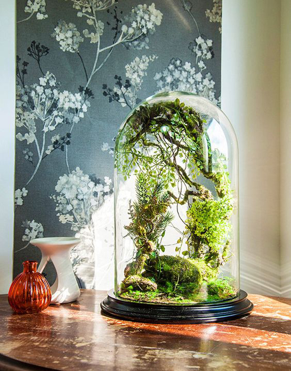 enchanted-forest-terrariums-for-indoor