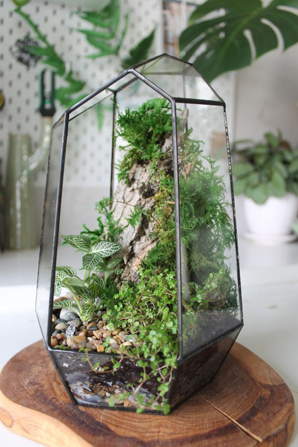 geometric-mini-terrarium-ideas-for-indoor