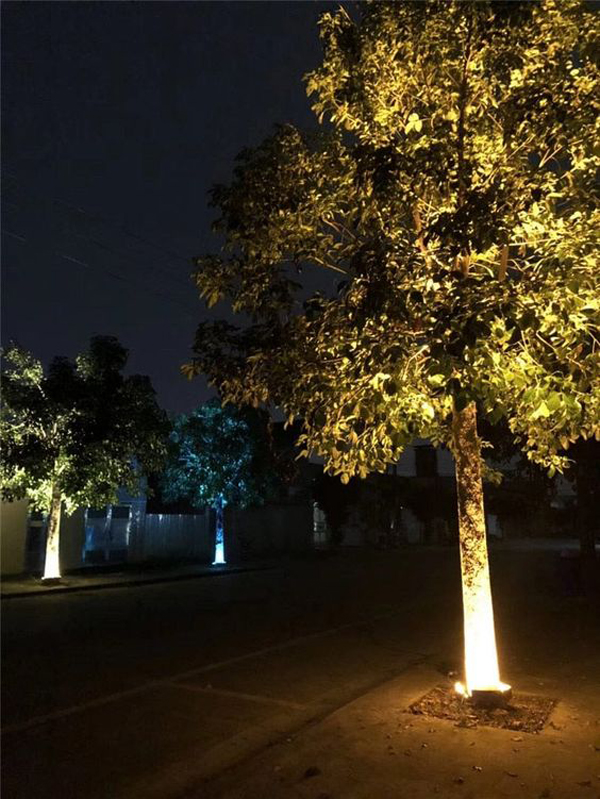outdoor-led-tree-lighting-spotlight