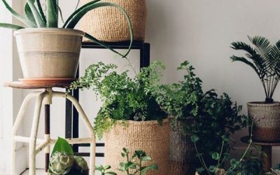 best-diy-plant-pot-covers