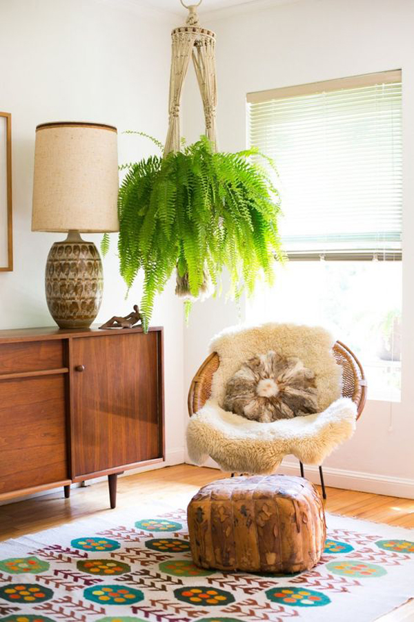 hanging-diy-indoor-ferns-ideas