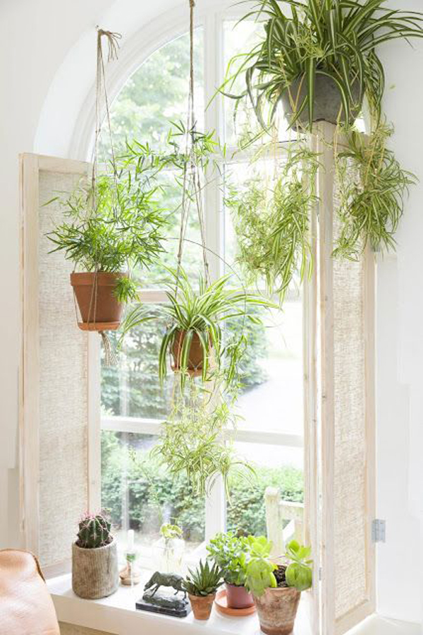 hanging-window-planter-ideas