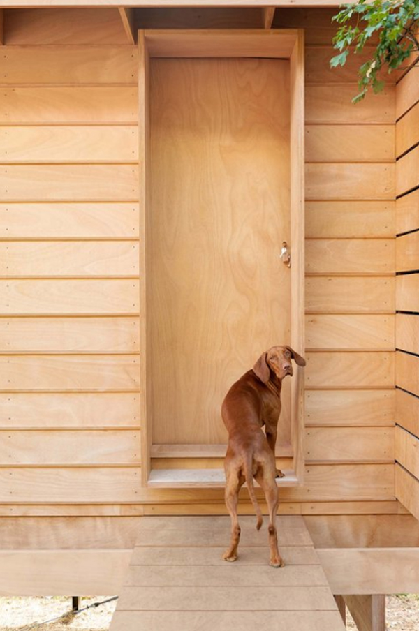 wood-cabin-door-with-dog