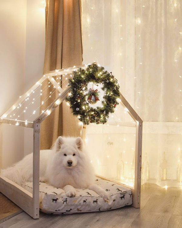 beautiful-dog-christmas-house-design