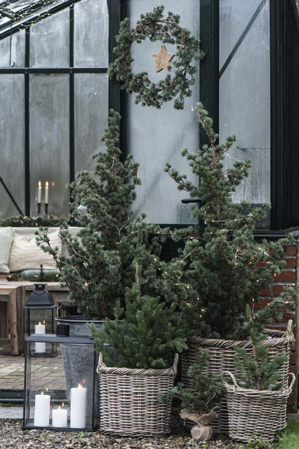 beautiful-outdoor-christmas-trees-with-rattan-pots