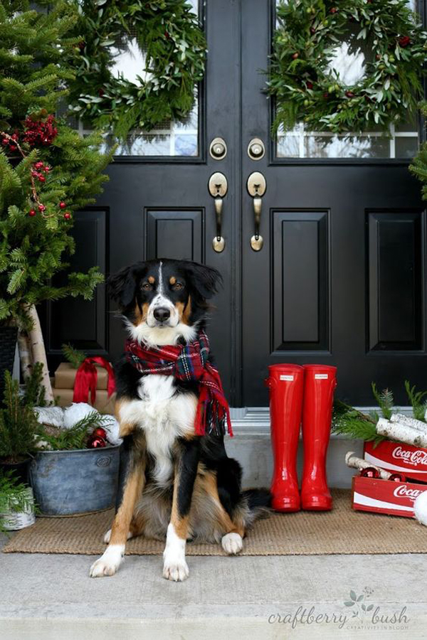 christmas-dog-patio-decor-ideas