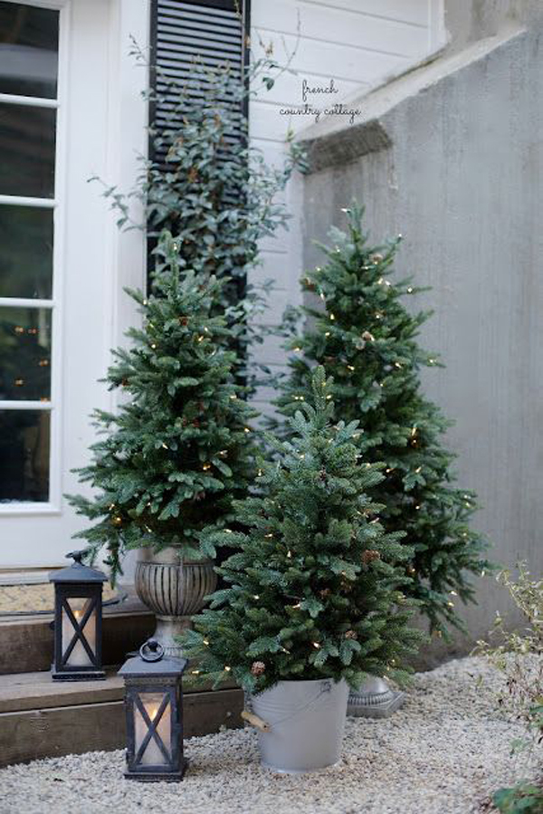 french-country-cottage-christmas-trees-for-outdoor