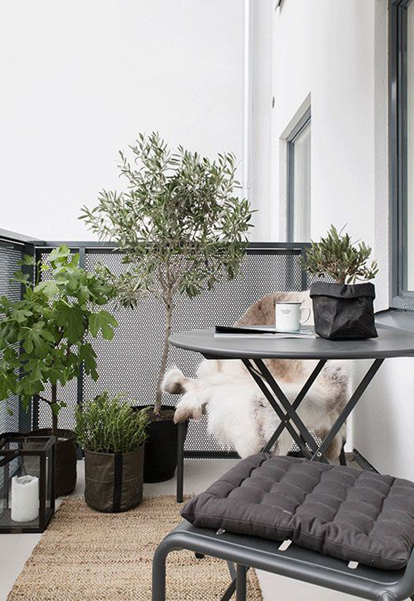 minimalist-balcony-design-with-black-accents
