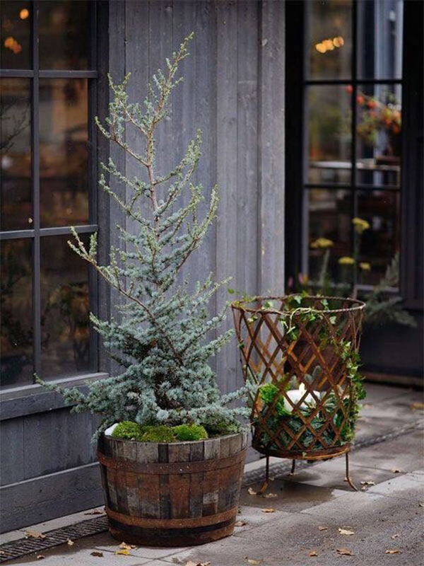 rustic-diy-christmas-tree-for-outdoor