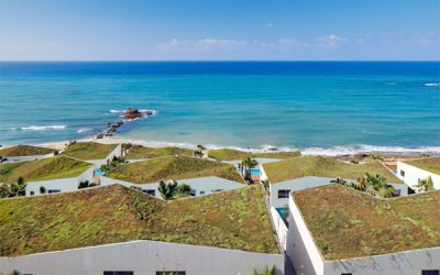 amera-villas-with-green-roof