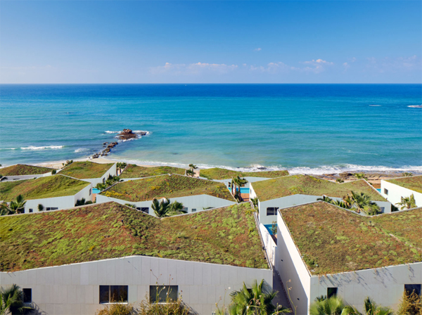 amera-villas-with-green-roof