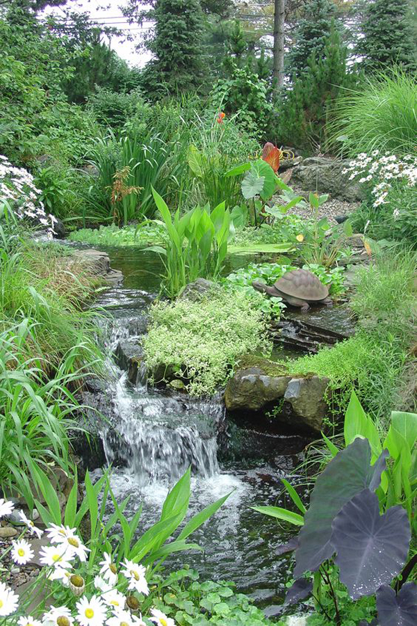 beautiful-pond-garden-with-artificial-garden