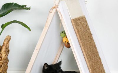 diy-cat-house-with-tepee-design