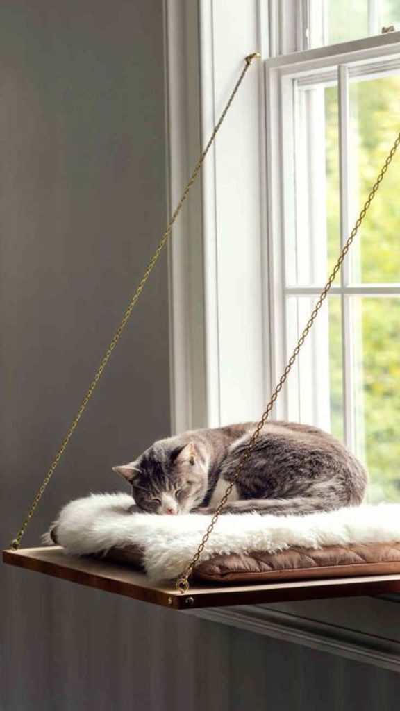 10 Easy DIY Cats Projects For Your Home | HomeMydesign