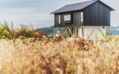 u-house-in-irie-by-ushijima-architects