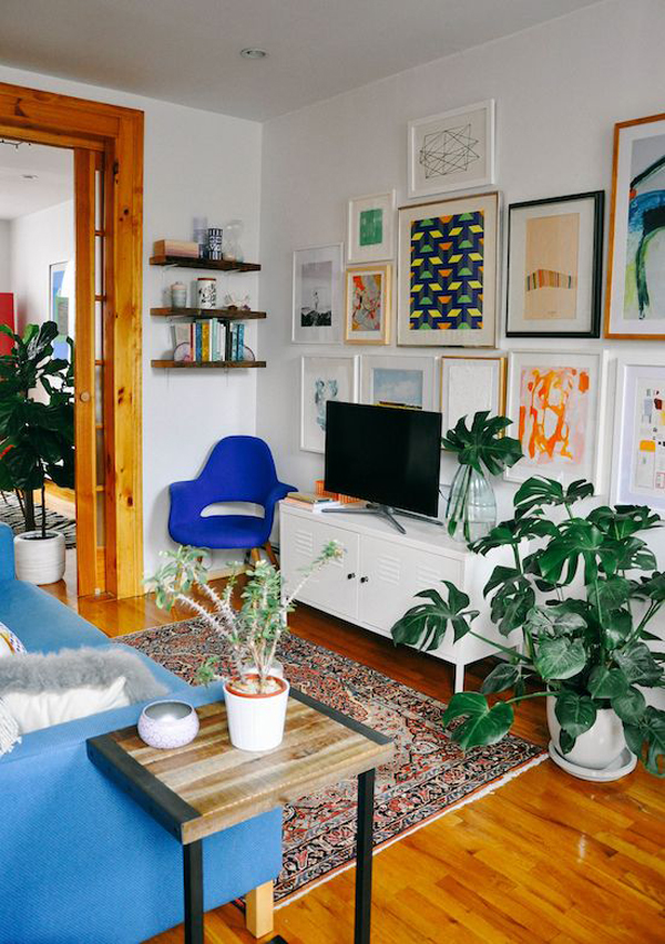 colorful-boho-tv-room-with-indoor-plants