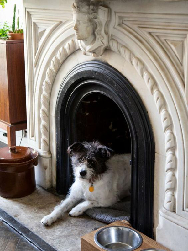 cozy-dog-nooks-in-old-fireplace