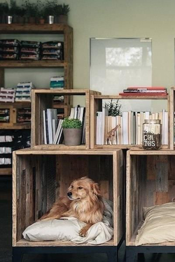 diy-dog-nooks-with-pallet-and-shelf