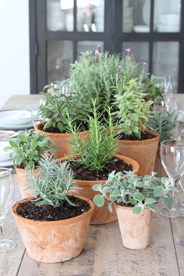 diy-edible-garden-with-clay-pots