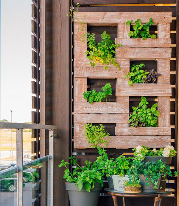minimalist-vertical-pallet-garden-on-balcony