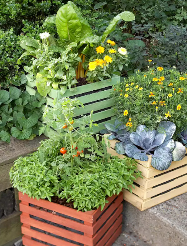 pallet-container-edible-garden