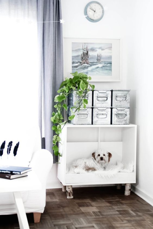 stylish-dog-nook-with-table-furniture