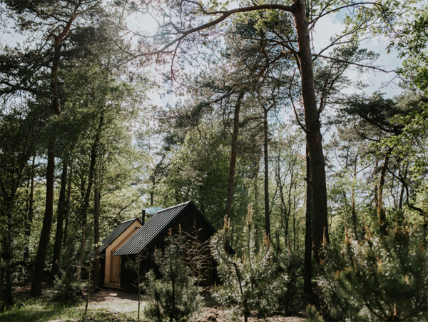 cabin-anna-design-in-dutch-national-park