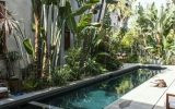 tropical-style-pool-garden-for-side-yard