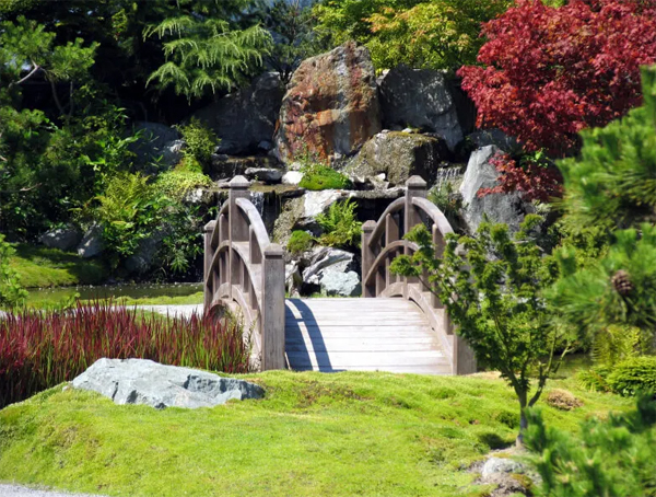 wooden-bridge-garden-with-nature-surrounding